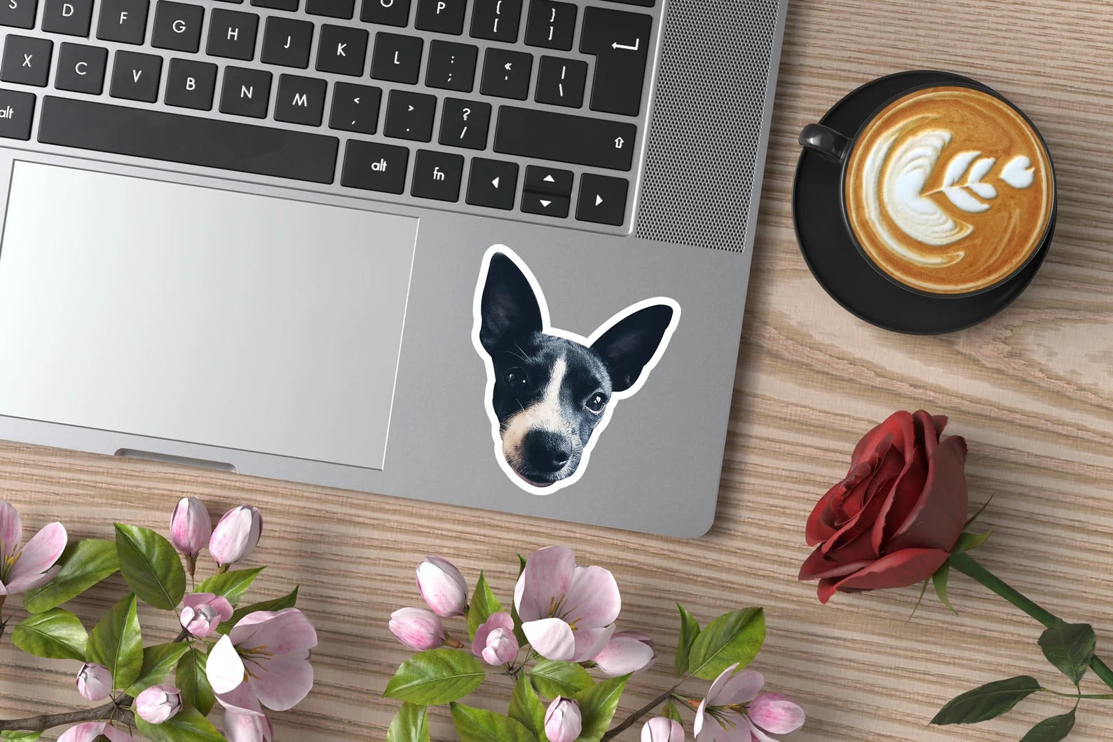 ✨ Pack de calcomanías personalizadas 📸